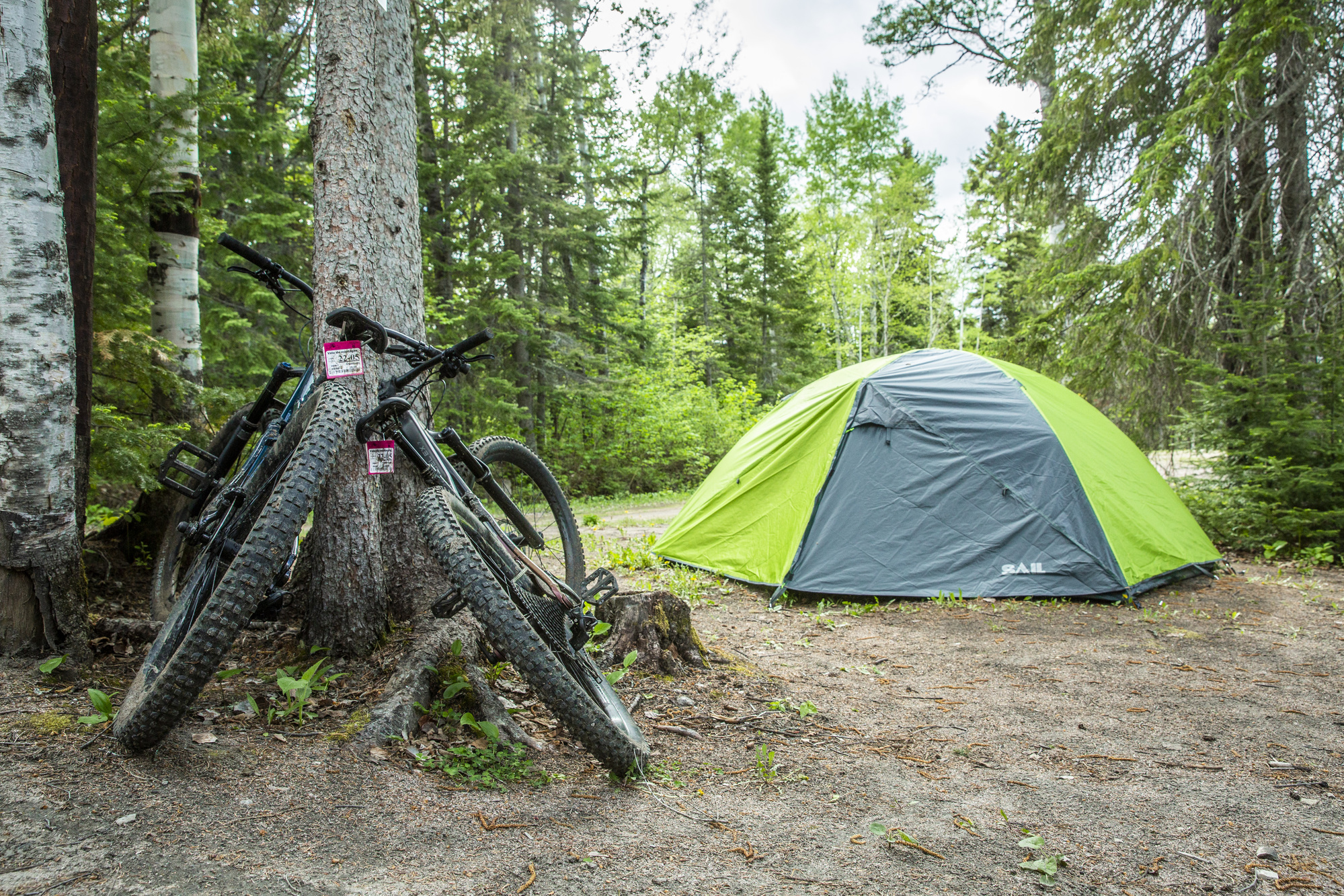 Camping Tobo