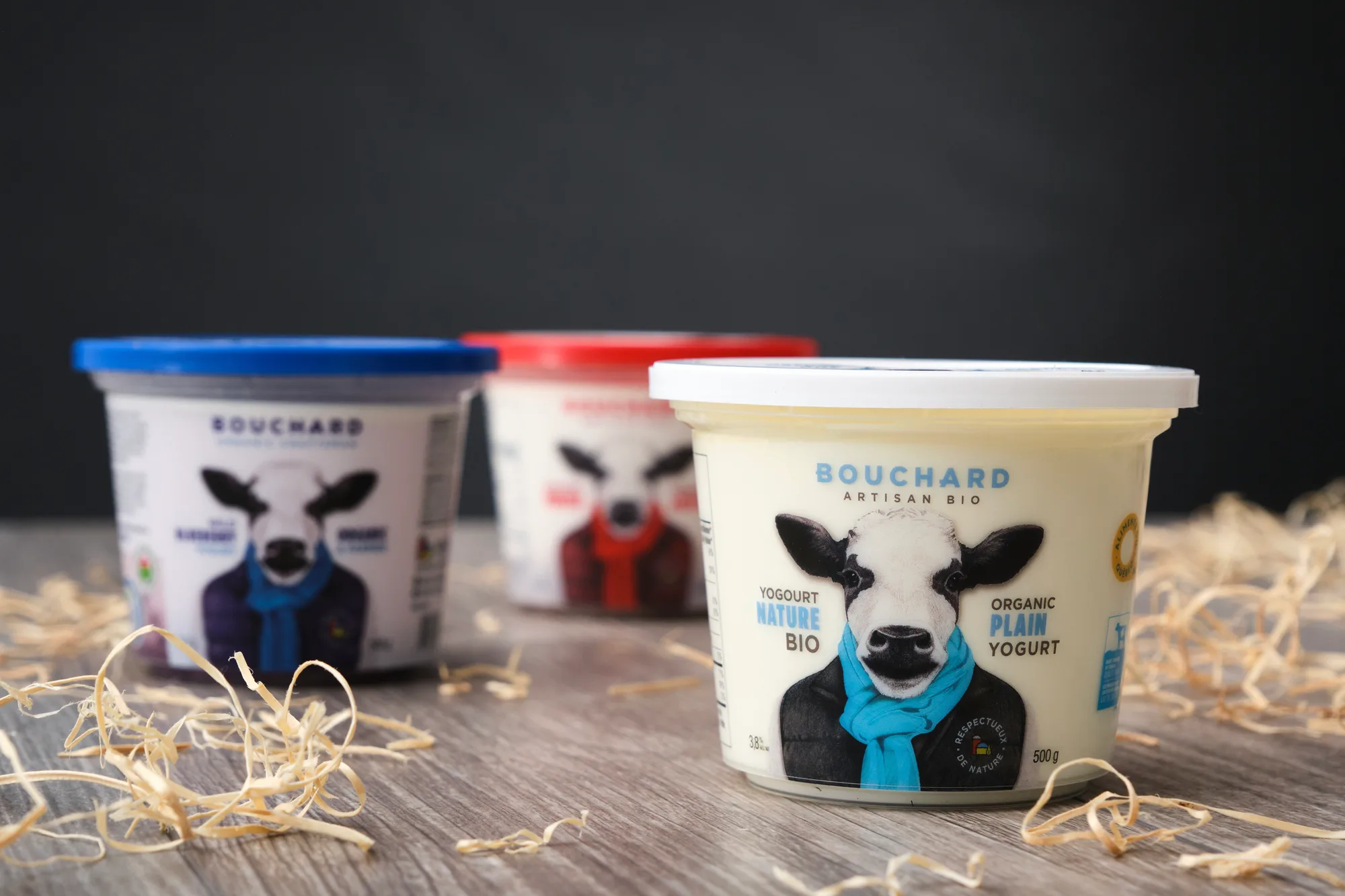 HI Studio Bouchard 14 2