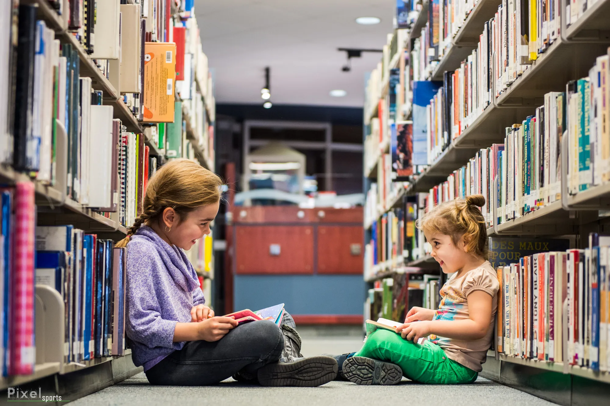 Bibliothèque (5) Pixel Pascal Bérubé