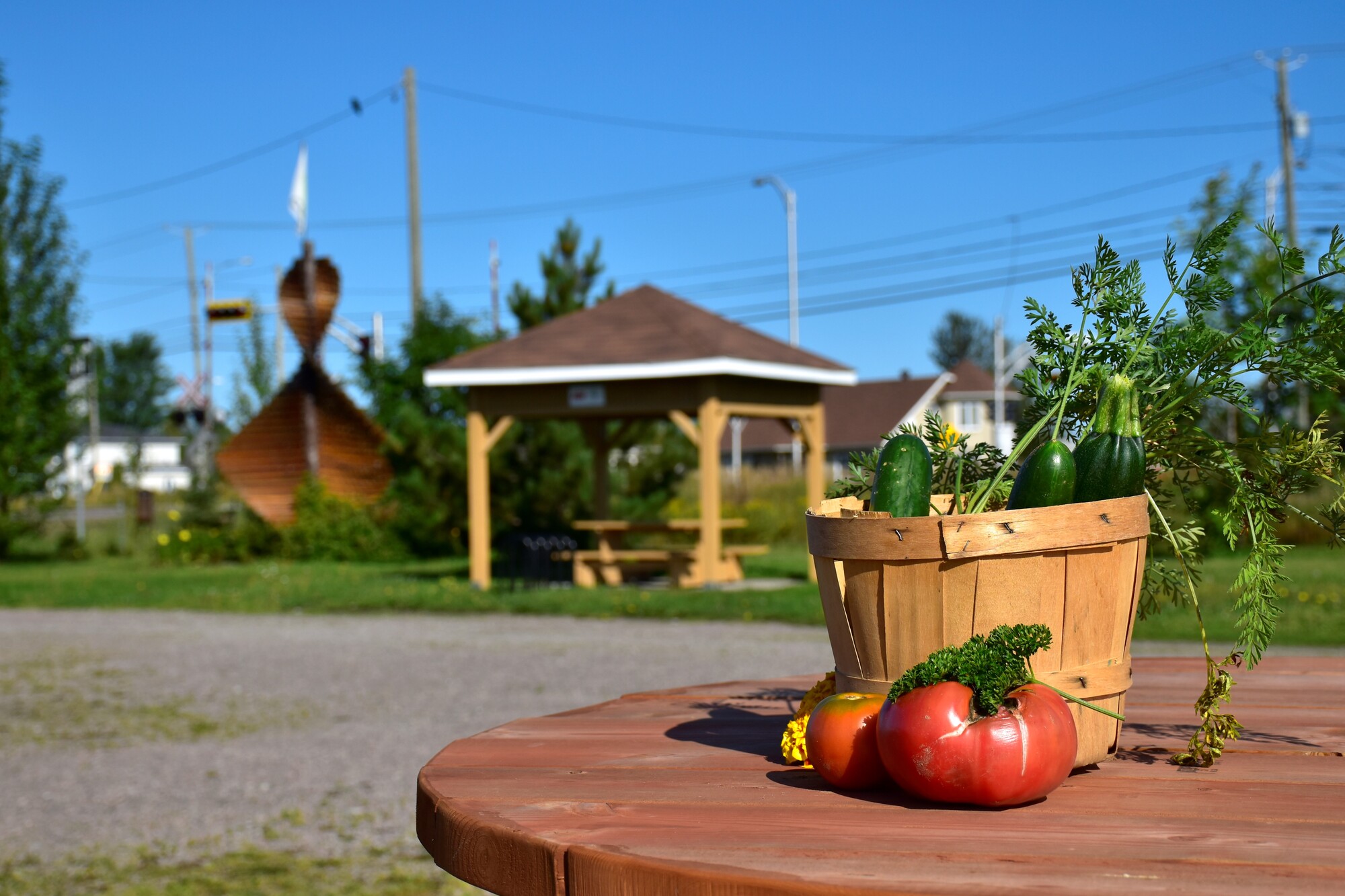 Legumes Frais Ferme