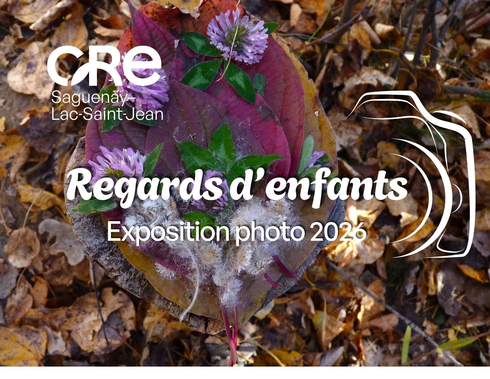 668943119 989615433400387 7194821554106358385 N